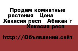  Продам комнатные растения › Цена ­ 50 - Хакасия респ., Абакан г.  »    . Хакасия респ.